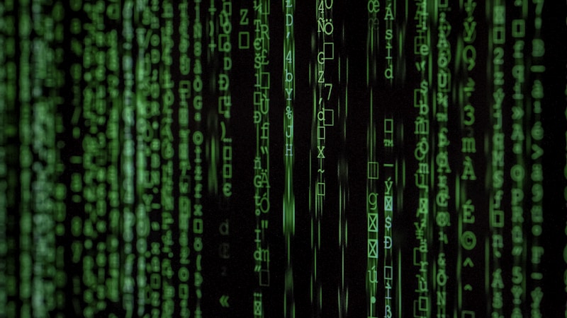 Find Hidden Endpoints